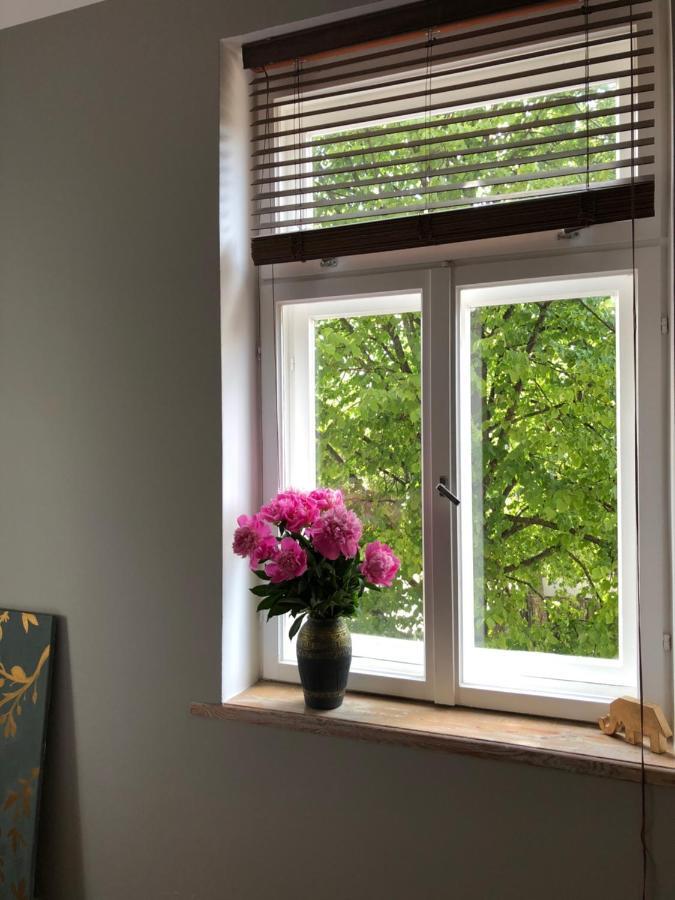Bohemian Apartment In The Heart Of Old Ventspils City المظهر الخارجي الصورة